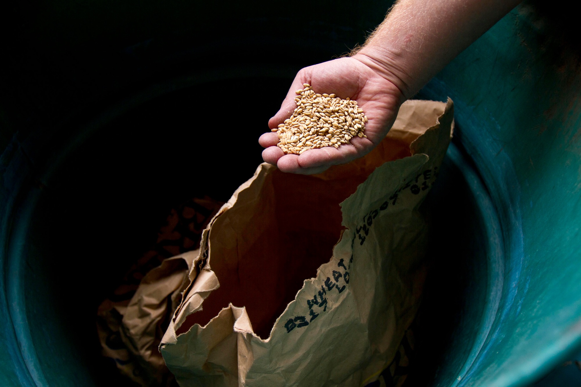 Unsown Seeds | Devotions by Chris Hendrix