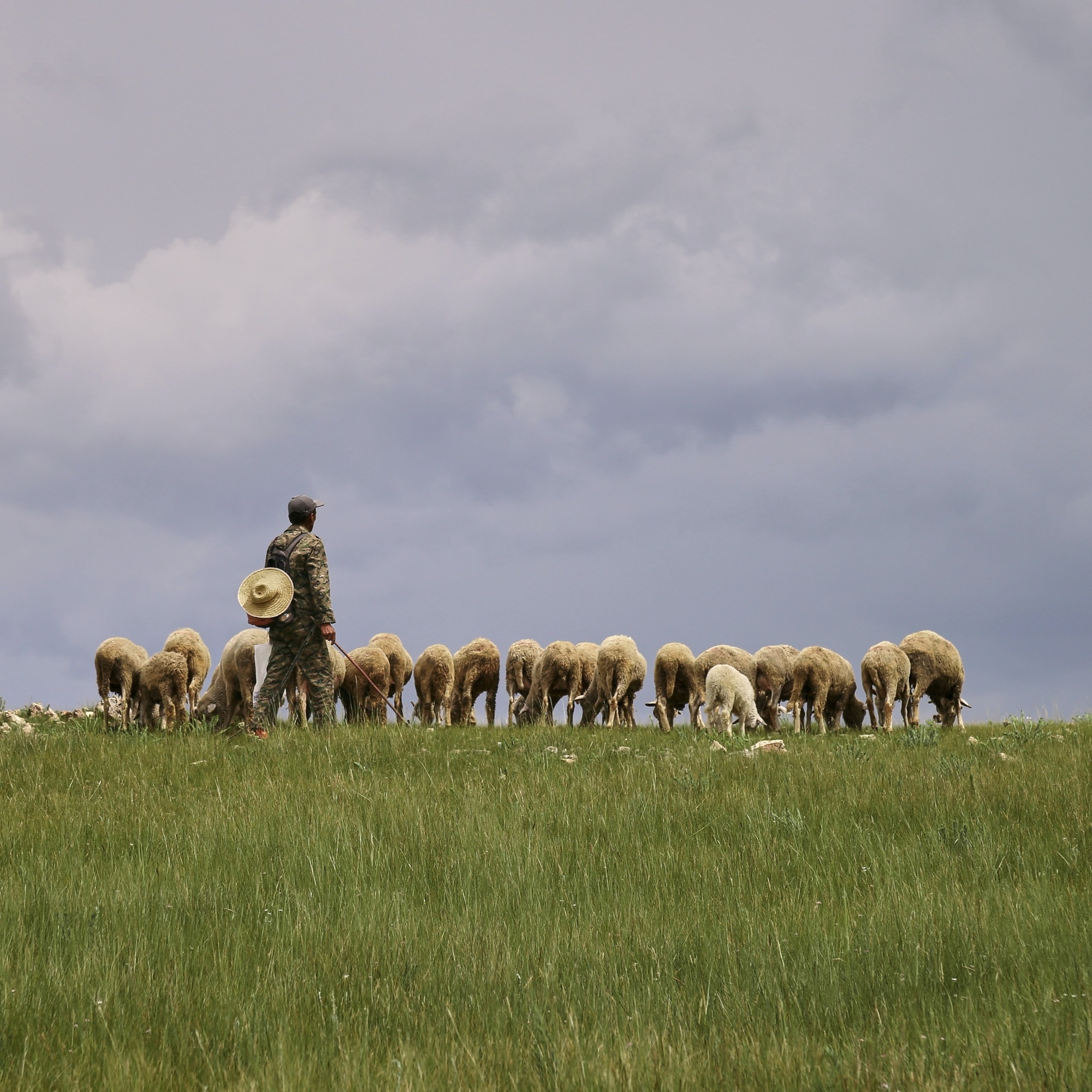 Return To The Shepherd | Devotions by Chris Hendrix